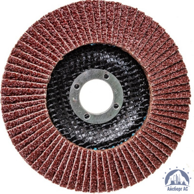 Круг лепестковый КЛТ 125х22 мм, P80, Elitech, 1820,039100 купить в Пскове